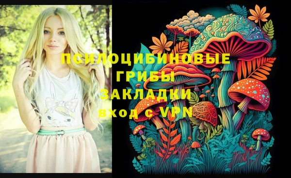 соль курить ск Елизово