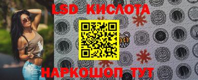 стафф Дубна