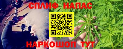 стафф Дубна