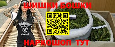 стафф Дубна