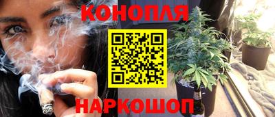стафф Дубна